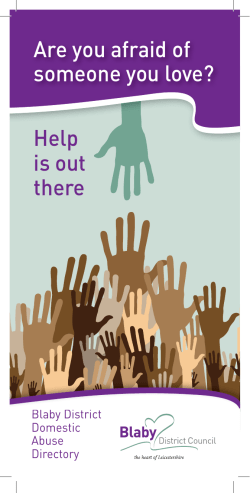 Domestic Violence Directory