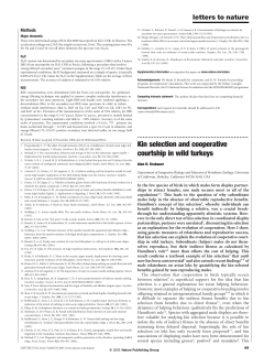 Kin selection and cooperative courtship in wild turkeys