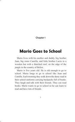 Mario Goes to School