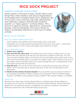 rice sock project - Arizona Humane Society