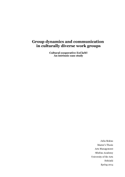 Group dynamics and communication in culturally diverse
