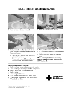 skill sheet: washing hands