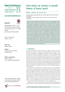 Zebra finches are sensitive to prosodic features of human speech