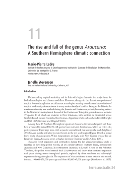 The rise and fall of the genus Araucaria: A Southern Hemisphere