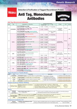 Anti DYKDDDDK tag, Monoclonal Antibody