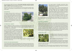 The tree of the year 2011