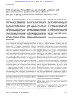 BH3-only proteins Puma and Bim are rate-limiting