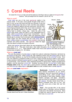 5 Coral Reefs - Sustainable East Africa