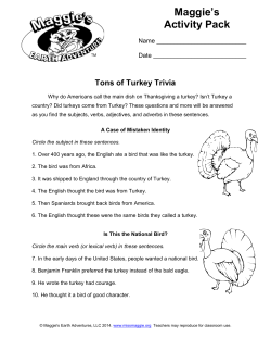 Intermediate - Maggie`s Earth Adventures