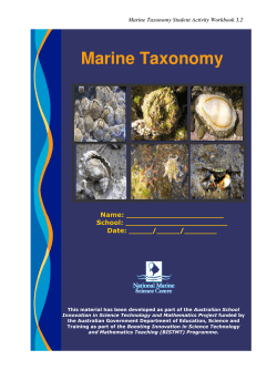 Marine Taxonomy Student Activity Workbook final