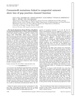 Connexin46 mutations linked to congenital cataract show - AJP-Cell
