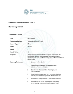 5N0737_AwardSpecifications_English