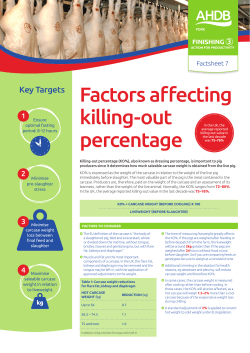 Factors affecting killing-out percentage