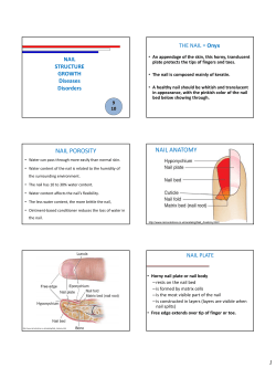 NAIL POROSITY NAIL ANATOMY