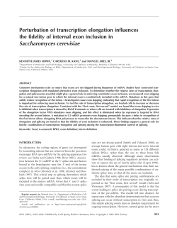 Perturbation of transcription elongation influences