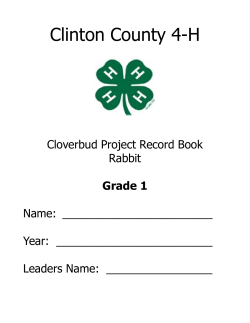 Rabbit Grade 1