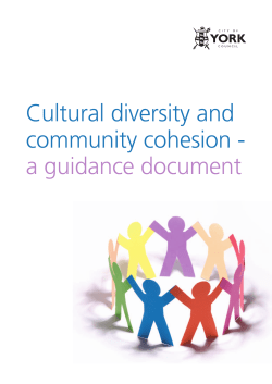 Cultural diversity and community cohesion - a