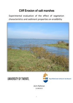 Cliff Erosion of salt marshes