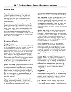 2017 Soybean Insect Control Recommendations