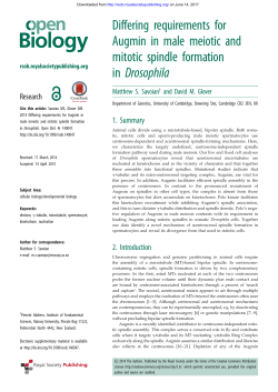 Differing requirements for Augmin in male meiotic and mitotic