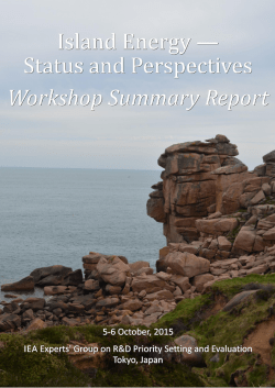 Island Energy - IEA DSM Programme