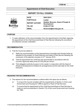 (a) appointment of Chief Executive