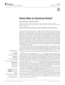 Onion Skin or Common Drive?