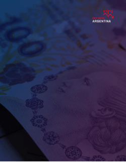 Argentina Government Official Wealth Index Report Summary