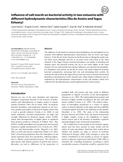 Influence of salt marsh on bacterial activity in two estuaries with