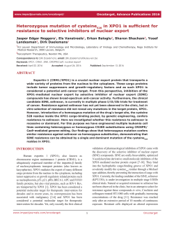 Heterozygous mutation of cysteine 528 in XPO1 is sufficient for