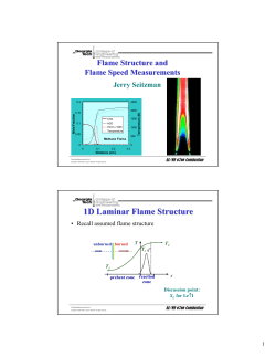 1D Laminar Flame Structure