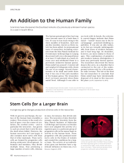 Spectrum - Max-Planck