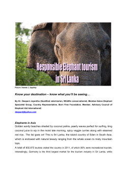 Sri Lanka elephant tourism