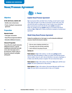 Noun/Pronoun Agreement - Benchmark Writer`s Workshop