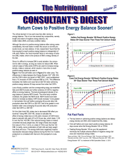 Return Cows to Positive Energy Balance Sooner!