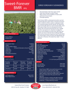 Sweet-Forever BMR - Gayland Ward Seed