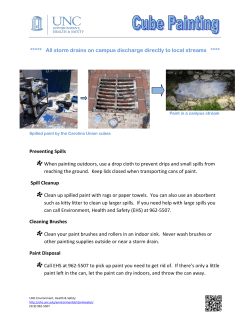 Cube Painting Guidelines for Carolina Union