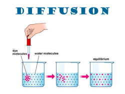 Diffusion