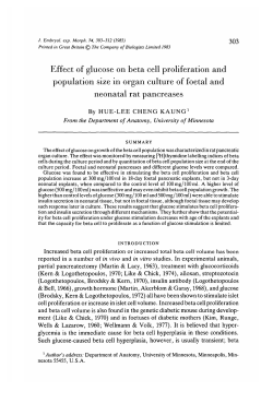 Effect of glucose on beta cell proliferation and