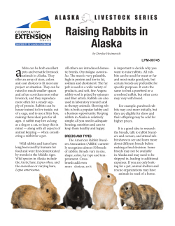 Raising Rabbits in Alaska - University of Alaska Fairbanks