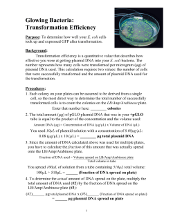 Glowing Bacteria: Transformation Efficiency