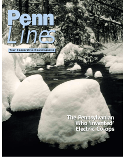 The Pennsylvanian Who `Invented` Electric Co