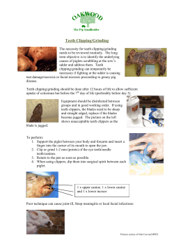 Teeth Clipping/Grinding - The Oakwood Veterinary Group