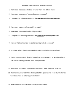 Modeling Photosynthesis Activity Questions 1. How many molecules