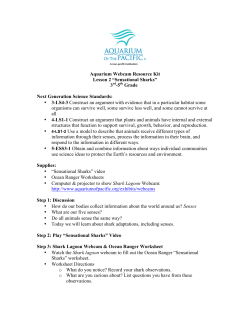 Sensational Sharks 3-5th Lesson 2