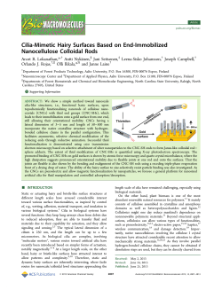 Cilia-Mimetic Hairy Surfaces Based on End