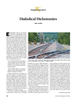 Terminal segmenT Diabolical Dichotomies