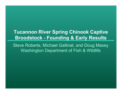 Tucannon River Spring Chinook Captive Broodstock