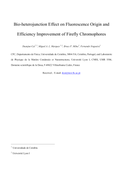 Bio-heterojunction Effect on Fluorescence Origin
