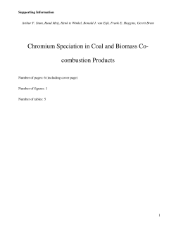 Chromium Speciation in Coal and Biomass Co